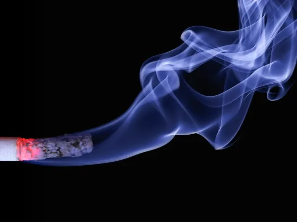 close up photo of lighted cigarette stick