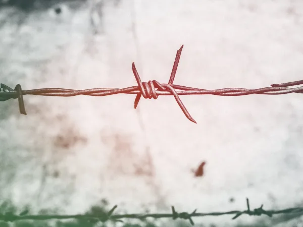 shallow focus photography of brown barbed wire